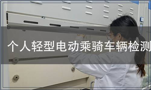 個(gè)人輕型電動(dòng)乘騎車輛檢測