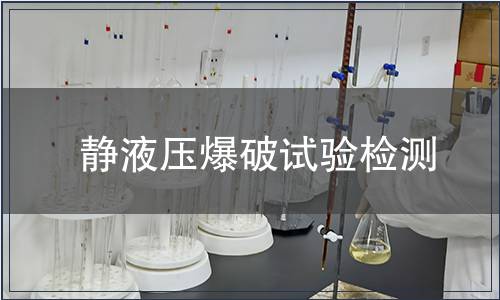 靜液壓爆破試驗檢測
