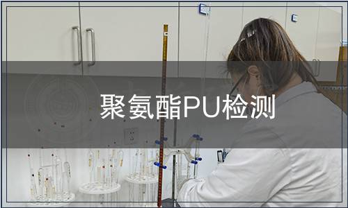 聚氨酯PU檢測