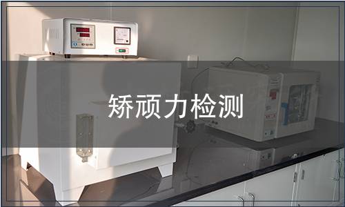 矯頑力檢測(cè)