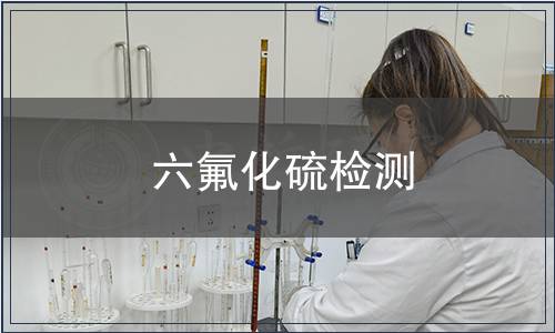 六氟化硫檢測