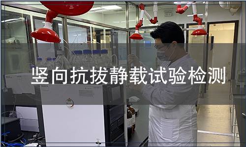 豎向抗拔靜載試驗檢測