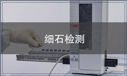 細(xì)石檢測